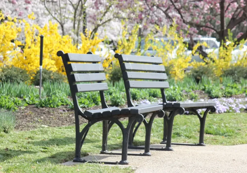 Paired benches on sunlit park path
